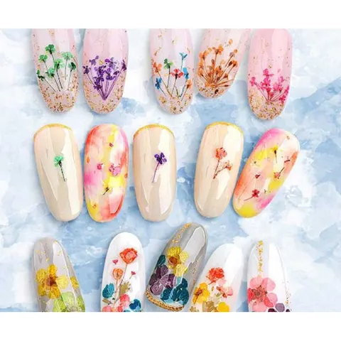 Hoa khô trang trí móng design nail ẩn nail Hàn siêu xinh