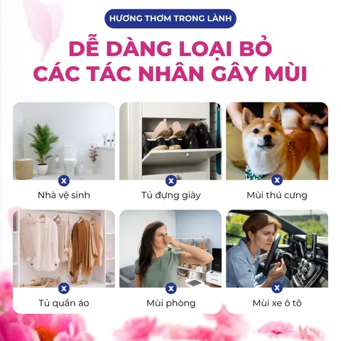 Túi Thơm Quần Áo Hygiene Thái Lan, Treo Xe Ô Tô Khử Mùi Nhà Vệ Sinh, Làm Thơm Phòng Ngủ Và Tỏa Hương Thơm Mát 0398_142_241