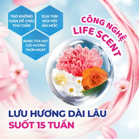 Túi Thơm Quần Áo Hygiene Thái Lan, Treo Xe Ô Tô Khử Mùi Nhà Vệ Sinh, Làm Thơm Phòng Ngủ Và Tỏa Hương Thơm Mát 0398_142_241