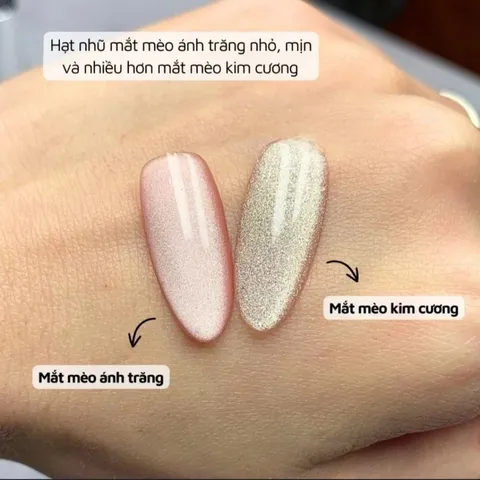 Set 6 màu sơn gel mắt mèo Ánh Trăng siêu sáng tặng bảng màu xịn hàng chuẩn