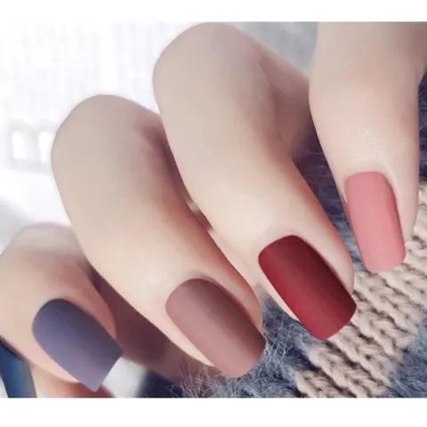 Sơn top lì hoa hồng tạo màu sơn lì nhám chỉ trong 1 bước hàng chuẩn siêu lì mịn