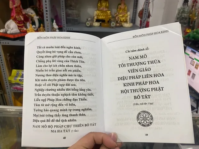Kinh Bổn Môn Pháp Hoa bìa xám DƯƠNG KHOA