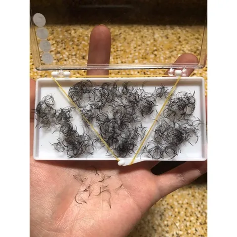 [ SALE ] Mi volum khay 1000 fan 3D - 6D -0,07mm cong C - CC - D silk siêu mảnh chân keo nhỏ bắt keo tốt [ TÚ ANH NAIL ]
