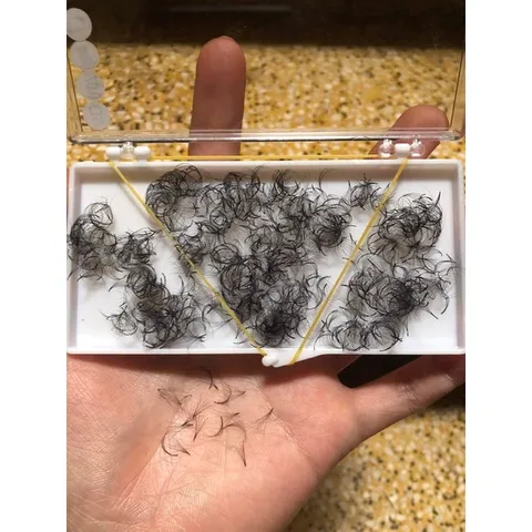 [ SALE ] Mi volum khay 1000 fan 3D - 6D -0,07mm cong C - CC - D silk siêu mảnh chân keo nhỏ bắt keo tốt [ TÚ ANH NAIL ]