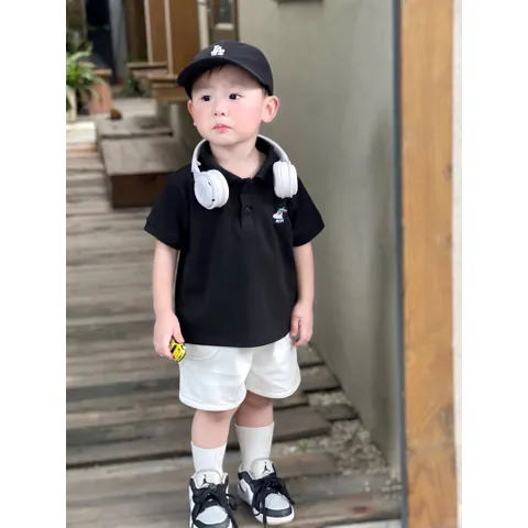 Áo polo bé trai, áo polo 3 màu hoạ tiết hình thêu cho bé 9-24kg
