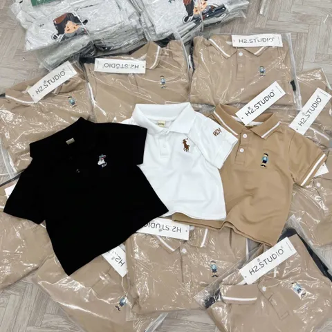 Áo polo bé trai, áo polo 3 màu hoạ tiết hình thêu cho bé 9-24kg