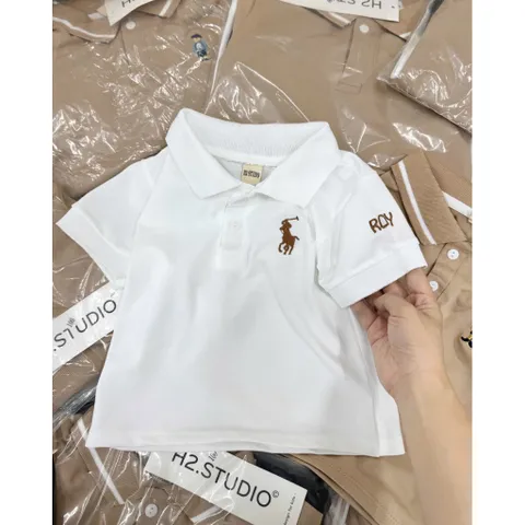 Áo polo bé trai, áo polo 3 màu hoạ tiết hình thêu cho bé 9-24kg