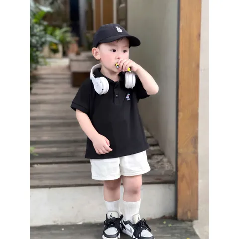 Áo polo bé trai, áo polo 3 màu hoạ tiết hình thêu cho bé 9-24kg