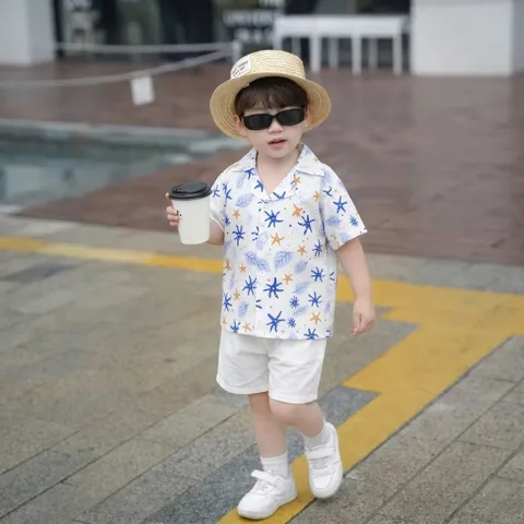 Quần áo bé trai, set bộ quàn áo cộc tay chất đũi sao biển cho bé từ 10-30kg