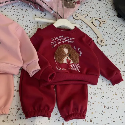 Quần áo thu đông cho bé, set bộ nỉ Hàn lót lông ấm áp thêu đắp gấu xù cho bé trai và bé gái 8-22kg