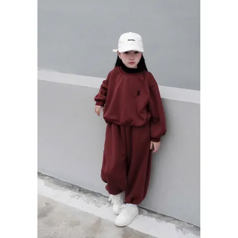 Quần áo thu đông cho bé, set bộ nỉ 2 da Tone đỏ đô thêu ngựa cho bé trai và bé gái 9-39kg