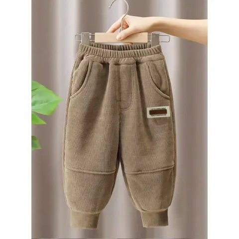 Quàn dài bé trai, quần nhung tăm dày dặn tem túi cho bé 8-20kg