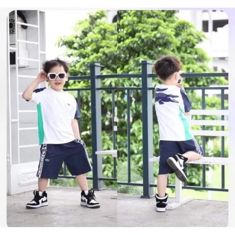 Quần áo bé trai, set bộ quần áo cộc tay chất cotton họa tiết cá sấu cho bé 10-30kg