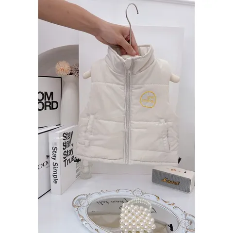 Áo khoác cho bé, áo phao gile trần bông kéo khoá cổ trụ thêu chữ LDYR cho bé trai và bé gái từ 8-30kg