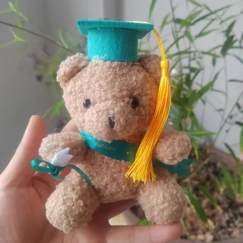 Gấu teddy tốt nghiệp đội mũ đeo sash cầm bằng, gấu bông tốt nghiệp dễ thương, quà tặng tốt nghiệp