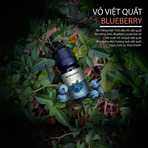[Kho Long Biên] Bộ 10 Chai Tinh Dầu Thơm MOKUJIKO Favorite Fruit, hương trái cây tự nhiên, khử mùi (P132715)