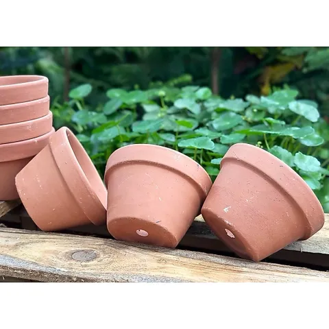 (Combo 3-5) - Chậu Đất Nung Thao - Trồng Xương Rồng , Sen Đá, Cây Cảnh Và Hệ Cây Mini Giá Rẻ, Có Nhiều Kích Thước