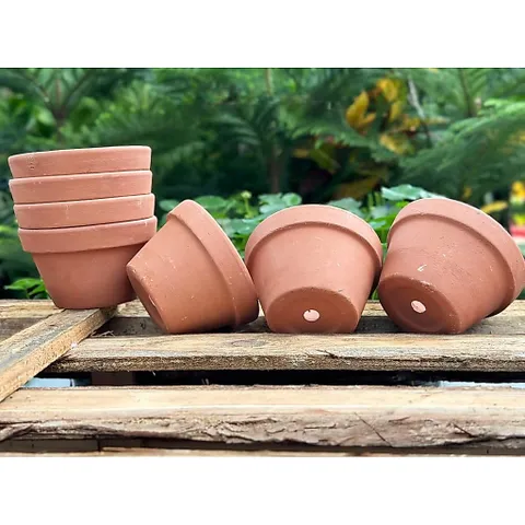 (Combo 3-5) - Chậu Đất Nung Thao - Trồng Xương Rồng , Sen Đá, Cây Cảnh Và Hệ Cây Mini Giá Rẻ, Có Nhiều Kích Thước