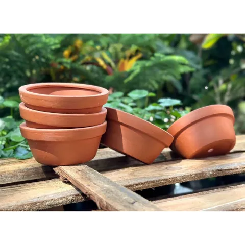 (Combo 3-5) - Chậu Đất Nung Thao - Trồng Xương Rồng , Sen Đá, Cây Cảnh Và Hệ Cây Mini Giá Rẻ, Có Nhiều Kích Thước