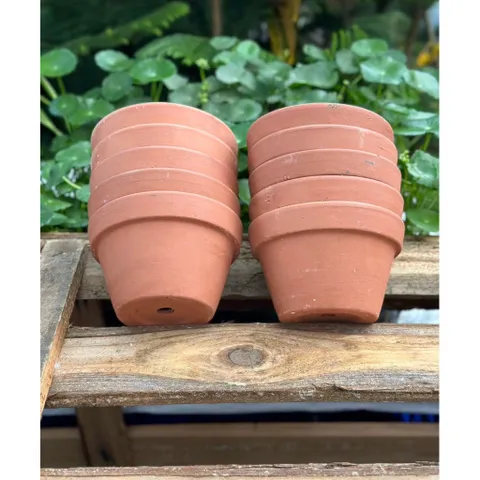 (Combo 3-5) - Chậu Đất Nung Thao - Trồng Xương Rồng , Sen Đá, Cây Cảnh Và Hệ Cây Mini Giá Rẻ, Có Nhiều Kích Thước