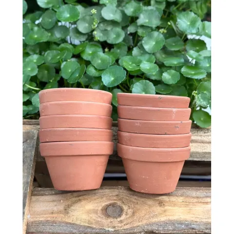 (Combo 3-5) - Chậu Đất Nung Thao - Trồng Xương Rồng , Sen Đá, Cây Cảnh Và Hệ Cây Mini Giá Rẻ, Có Nhiều Kích Thước