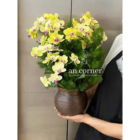 Bình Hoa Gốm Sứ Bát Tràng Dáng Bát Tròn Cao 16cm Cắm Hoa Decor Bàn Làm Việc Trang Trí Nhà Cửa Làm Quà Tặng