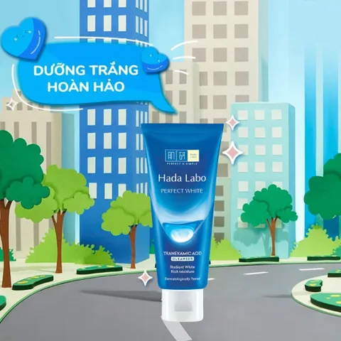 Kem Rửa Mặt Dưỡng Ẩm Hada Labo Advanced Nourish / Perfect White / Acne Care / Pro Anti Aging Cleanser White Conc 80g