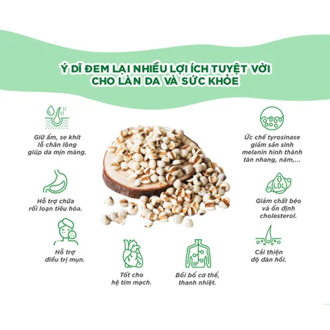 Viên Uống DHC Adlay Extract Làm Sáng Da, Mờ Sạm Nám, Chống Oxy Hóa Từ Nhật Bản