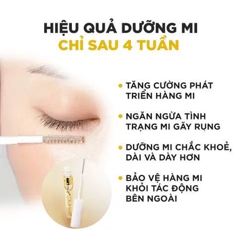Tinh chất dưỡng mi DHC Eyelash Tonic 6.5ml 846716