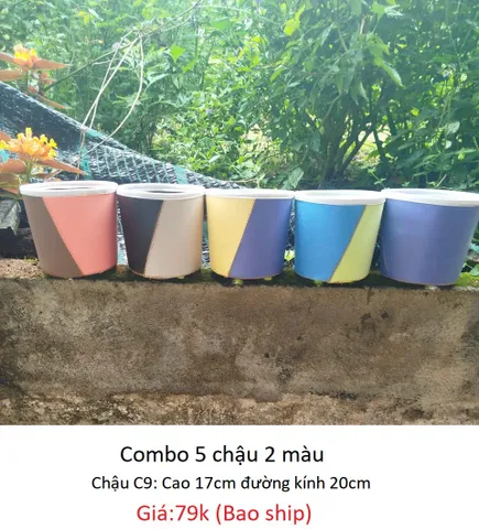 Chậu  C9 cao 17cm đường kính 20cm combo 5 chậu 2 màu giao ngẫu nhiên