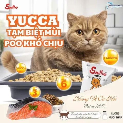 Thức ăn hạt cho mèo Smillie vị cá hồi gói 1kg
