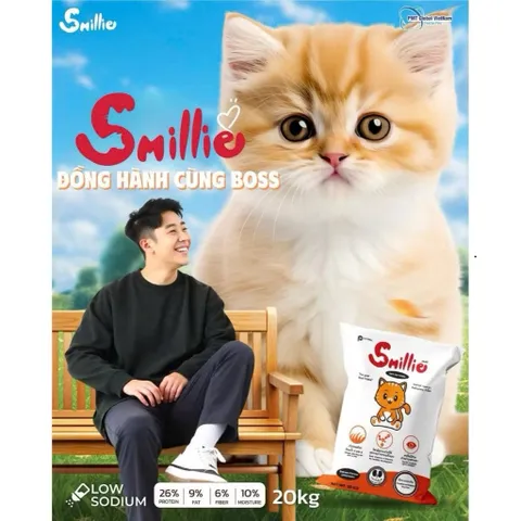 Thức ăn hạt cho mèo Smillie vị cá hồi gói 1kg