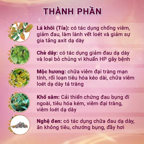 Viên An Vị Dân Khang – Hỗ Trợ Dạ Dày Khỏe, Giảm Trào Ngược, Cải Thiện Rối Loạn Tiêu Hóa, Hộp 30 Viên