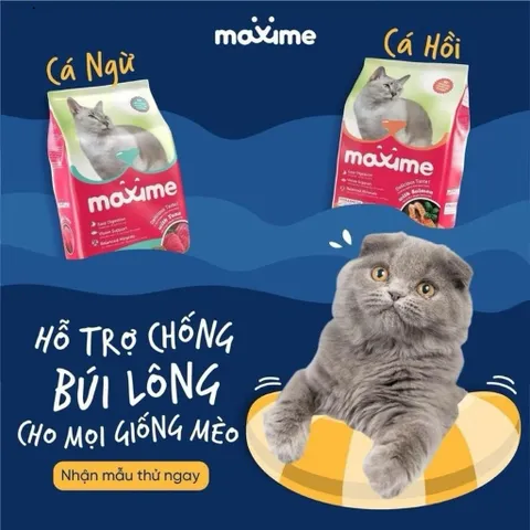 Thức ăn mèo con & mèo lớn vị cá hồi Maxime - Hạt cho mèo mọi độ tuổi gói 1,2kg