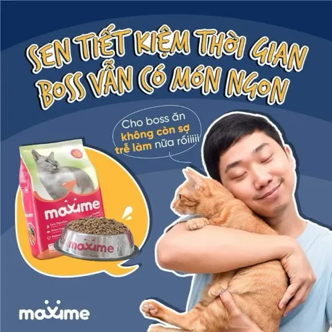 Thức ăn mèo con & mèo lớn vị cá hồi Maxime - Hạt cho mèo mọi độ tuổi gói 1,2kg