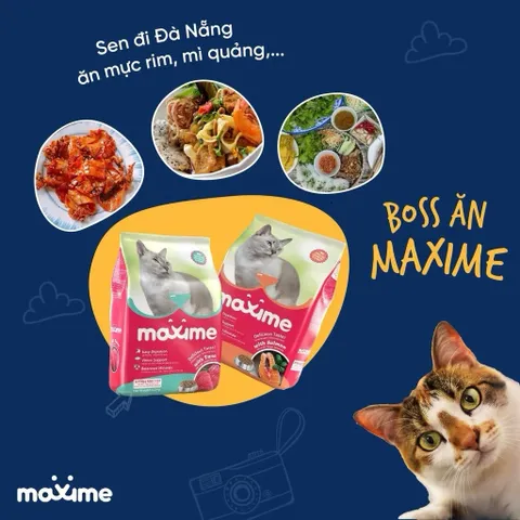 Thức ăn mèo con & mèo lớn vị cá hồi Maxime - Hạt cho mèo mọi độ tuổi gói 1,2kg