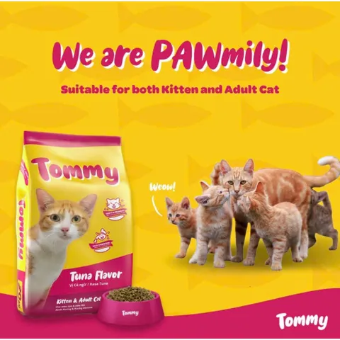Combo 2 gói thức ăn hạt cho mèo vị cá ngừ Tommy (2 gói x 500g)