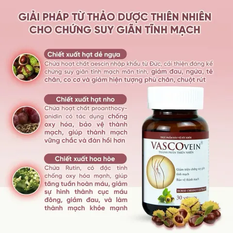 Viên uống hỗ trợ giảm triệu chứng tê đau phù do suy giãn tĩnh mạch Vascovein Dân Khang
