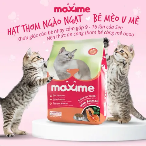 Combo 5 gói hạt Maxime cho mèo mọi độ tuổi - Thức ăn Maxime vị cá Hồi & Ngừ gói 1,2kg