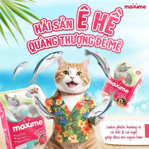 Combo 5 gói hạt Maxime cho mèo mọi độ tuổi - Thức ăn Maxime vị cá Hồi & Ngừ gói 1,2kg