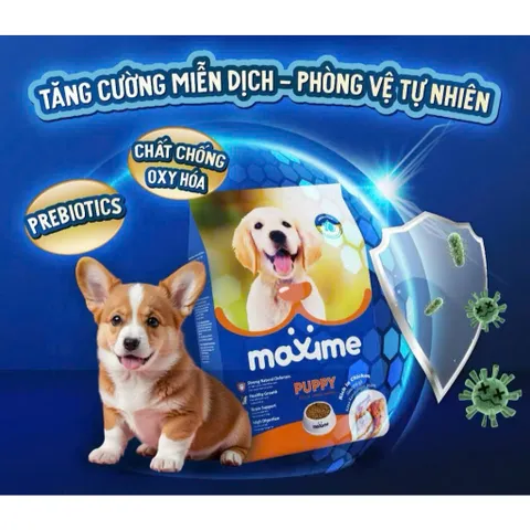 Thức ăn hạt cho chó con vị Thịt Gà gói 400 & 1.5kg - Maxime Puppy Rich in Chicken - Philippines