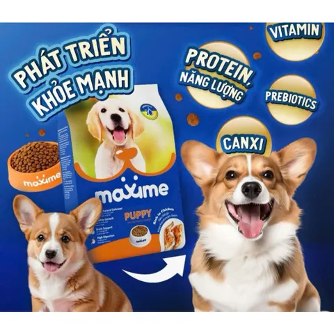 Thức ăn hạt cho chó con vị Thịt Gà gói 400 & 1.5kg - Maxime Puppy Rich in Chicken - Philippines