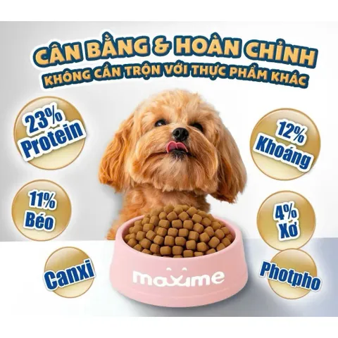 Thức Ăn Maxime Elite Cho Chó Lớn Vị Cá Hồi 1,5kg