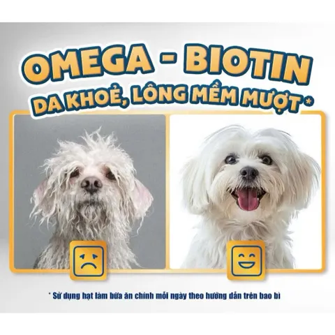 Thức Ăn Maxime Elite Cho Chó Lớn Vị Cá Hồi 1,5kg