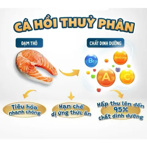 Thức Ăn Maxime Elite Cho Chó Lớn Vị Cá Hồi 1,5kg