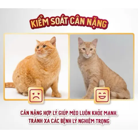 Thức ăn cao cấp dành cho mèo trưởng thành hỗ trợ thận, búi lông Maxime elite bao 5kg