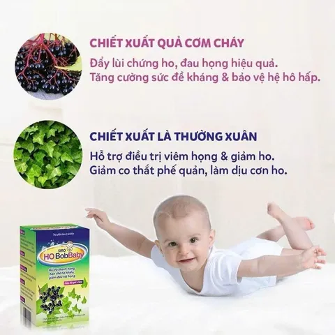 Siro Ho BobBaby Dân Khang Hỗ Trợ Thanh Họng Giảm Đau Rát Do Ho - Hộp 30 gói