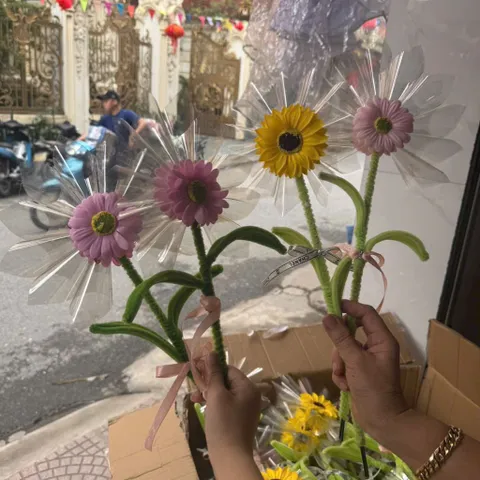 Phôi hoa nhét tiềm tặng quà 8/3, 20/10 (P124816)