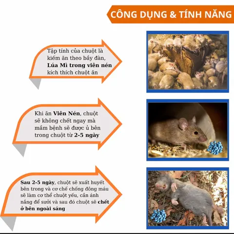 Storm trừ chuột gói 20 viên nén Thế Hệ Mới Hợp Trí - BASF kiểm soát chuột to nhỏ trong nhà kho xưởng chuồng trại và đồng ruộng hiệu quả không mùi