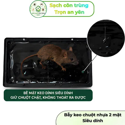 Bộ 2 khay keo siêu dính, khay nhựa đen cứng cáp, hỗ trợ bắt chuột, ruồi và côn trùng bò